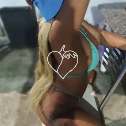 Capa de Zaara