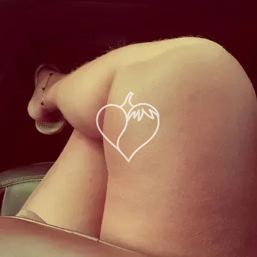Capa de Paloma