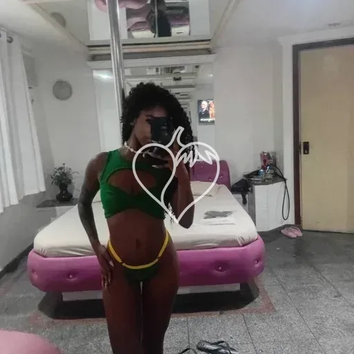 Capa de Princesindosexo