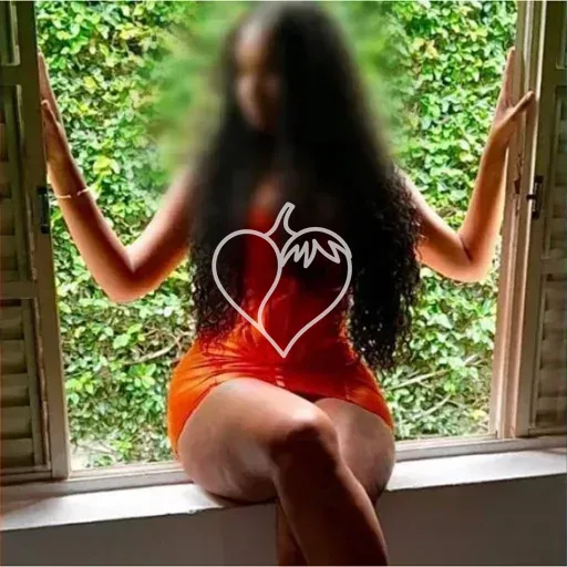 Capa de Ingrid