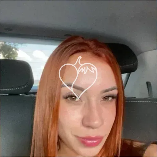 Capa de Faniifox