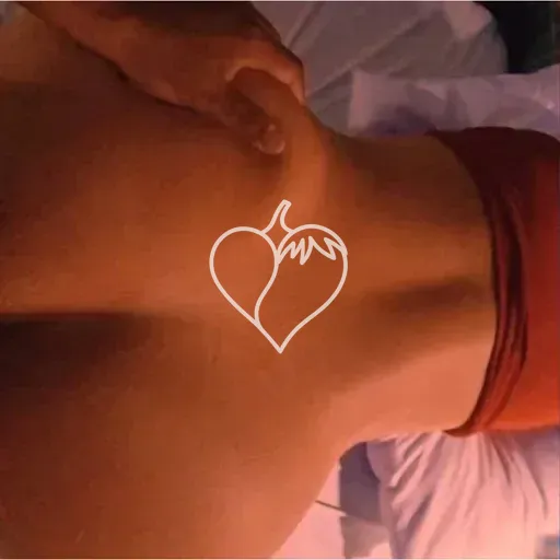 Capa de Vipsheyla