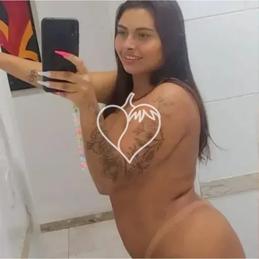 Capa de Paloma