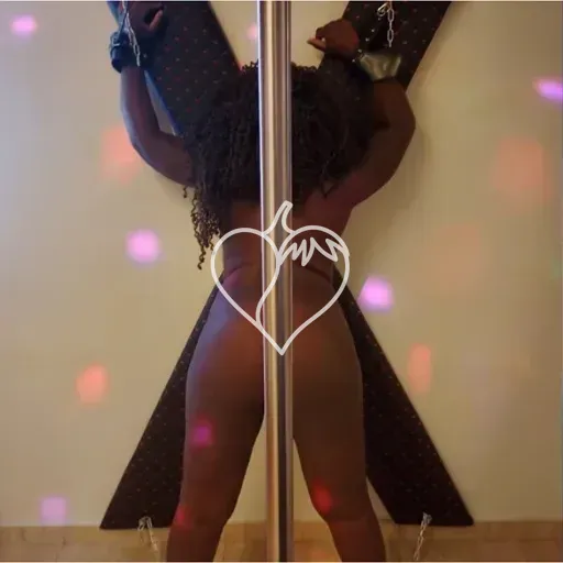 Capa de Katylicia