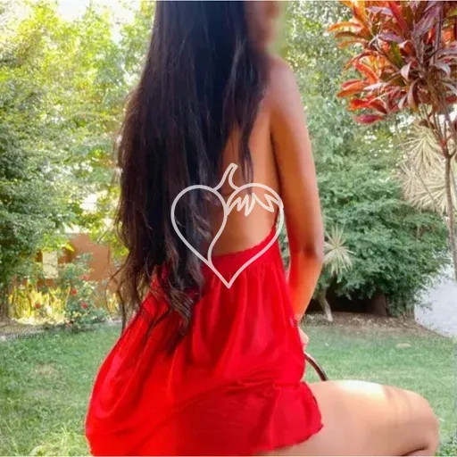 Capa de Camilla