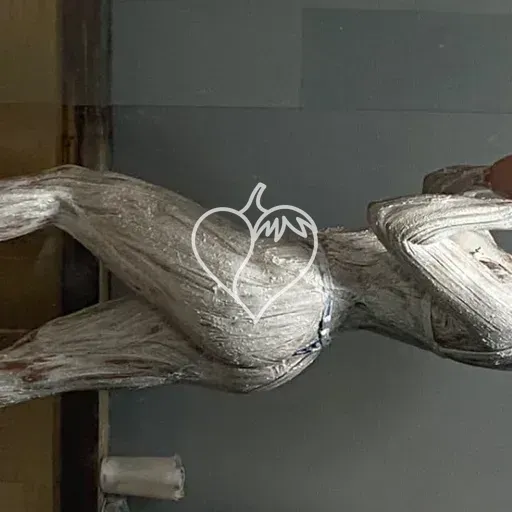 Capa de Angel