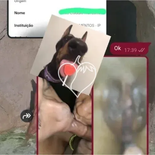 Sapatãozinhaagora