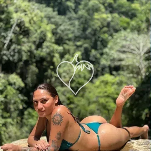 Capa de Brendinhaa