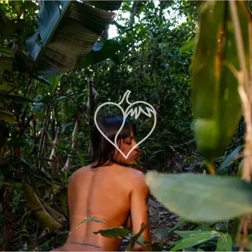 Capa de Taina