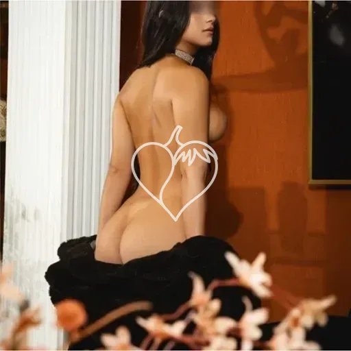 Capa de Lara Ferraz