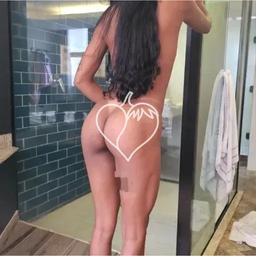 Avatar de Lara Vieira