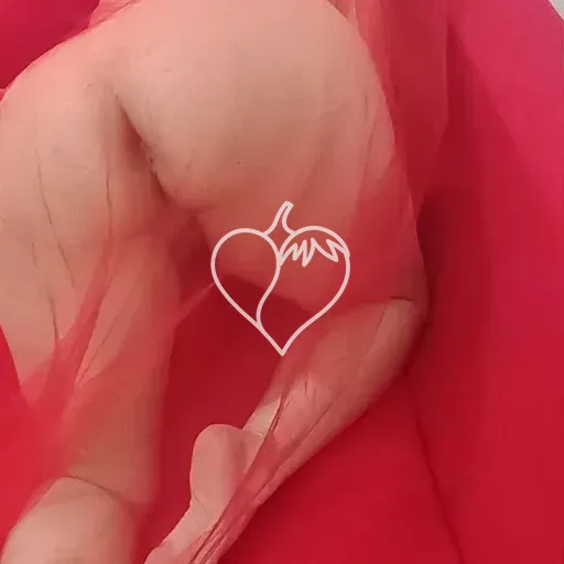 Capa de Vanessa